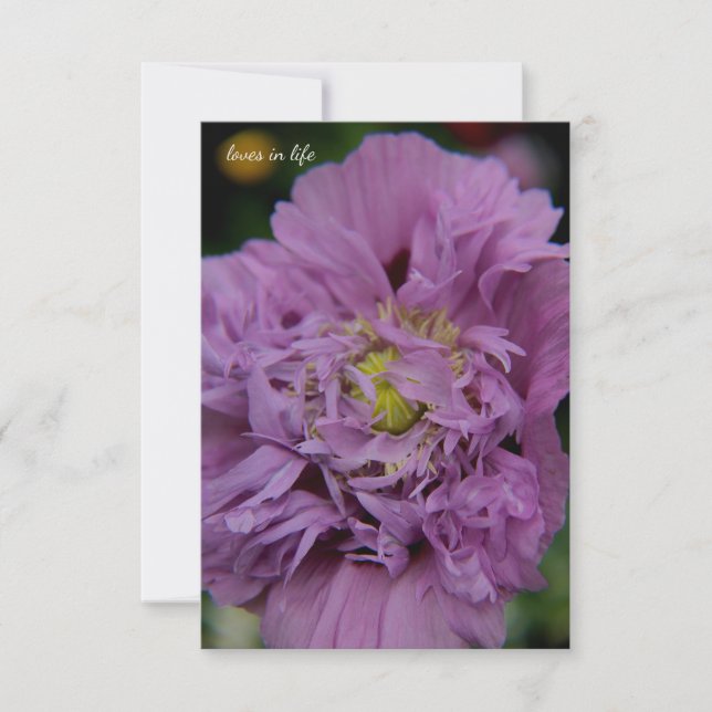 Lavender Ruffly Poppy Note Card (Front)