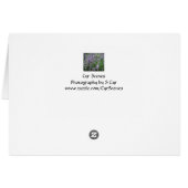 Lavender, S Cyr Cards (Back Horizontal)