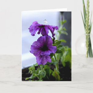 Lavender Shadow Fairy Holiday Card