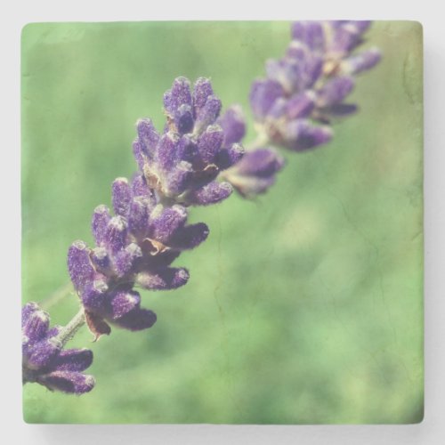 Lavender Stalk  Photo Marble Stone Coaster