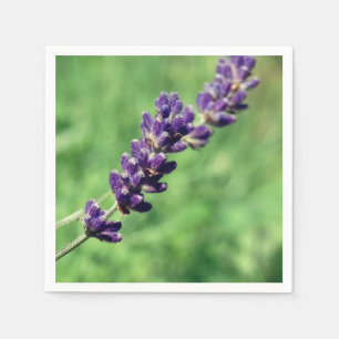 Lavender Stalk Photo  Paper Napkins