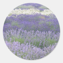 Lavender Sticker