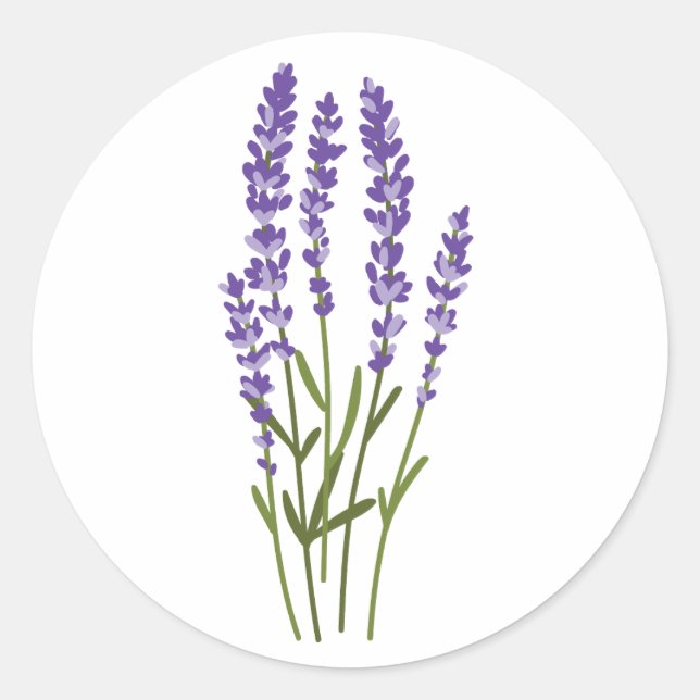 lavender stickers watercolor flowers herbs  (Front)