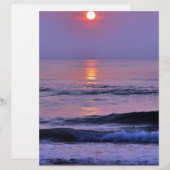 Lavender sun (Front/Back)