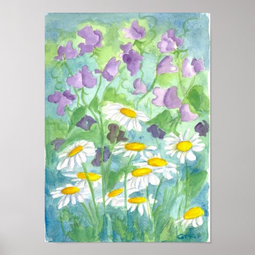 Lavender Sweet Pea Shasta Daisy Watercolor Poster