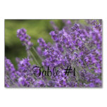 Lavender Table Number