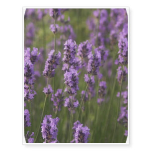 Lavender Temporary Tattoos