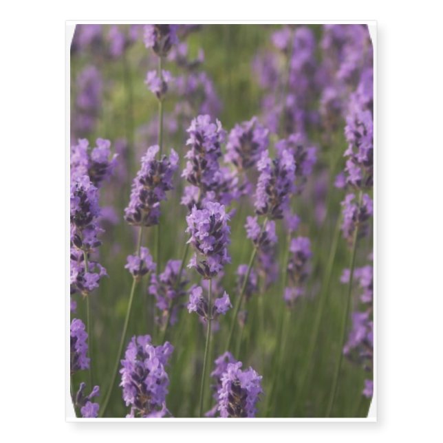 Lavender Temporary Tattoos (Front)