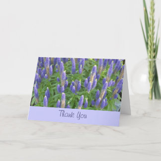 Lavender Thank You Card