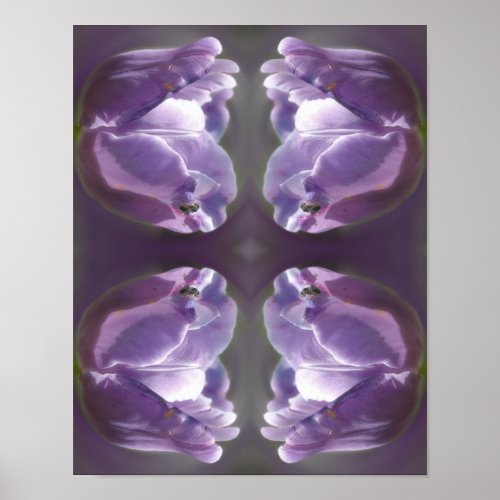 Lavender Tulip With Tiny Bee Abstract Poster