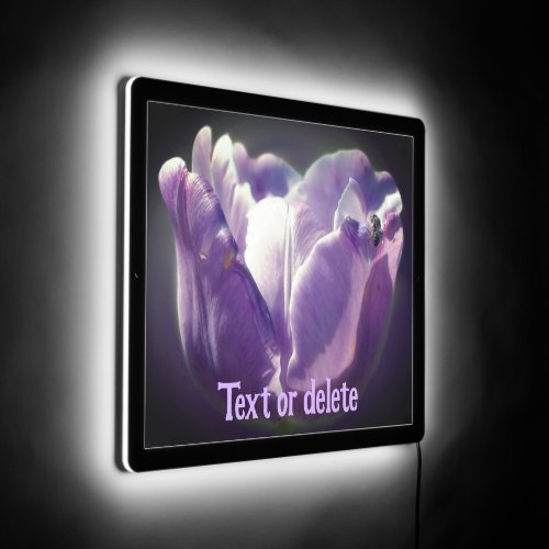Lavender Tulip With Tiny Bee Close Up Personalized LED Sign