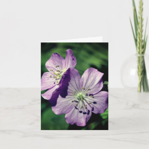 Lavender Twins Geranium Flower Photography Note Card