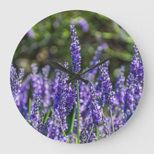 Lavender wall clock