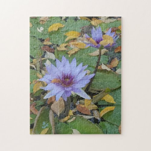 Lavender Water Lilies in Autumn Jigsaw Puzzle