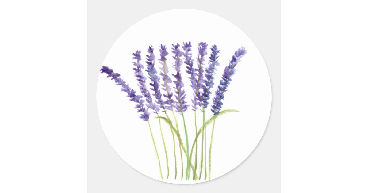 Lavender Watercolour Painting Purple Flowers Classic Round Sticker