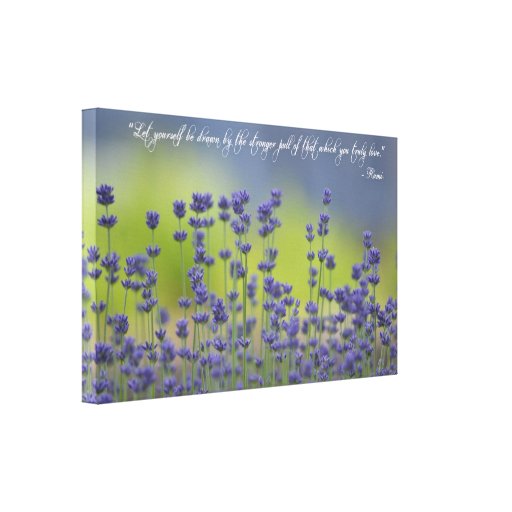 Lavender with Quote Canvas Print