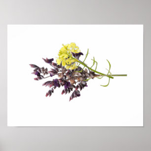 Lavender & Yellow Wildflower Botanical Design Poster