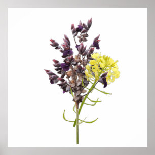 Lavender & Yellow Wildflower Botanical Design Poster