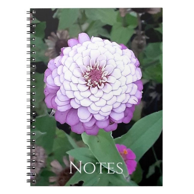 Lavender Zinnia Notebook (Front)
