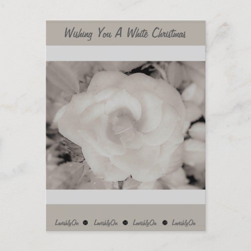 Lavishly On White Christmas Frosted Rose Editable Postcard