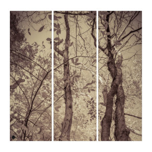 LavishlyOn Entwined Forest Triptych