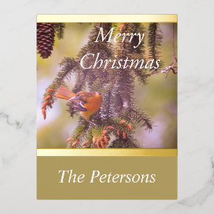 LavishlyOn Monogram Red Bird Pine Tree Branch Foil Holiday Postcard
