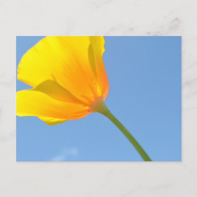 Law of Attraction Postcard (Front)