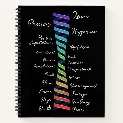 Law of Attraction Rainbow Spiral Emotional Scale Notebook