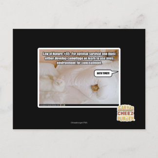 Law of Nature #45 Postcard