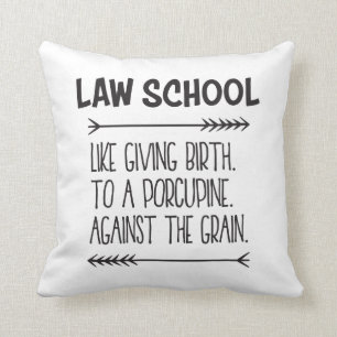 Law School Law Student Lawyer Funny Throw Pillow
