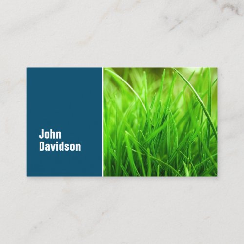 Lawn Care Blue Green Grass Business Card