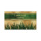 Lawn Care Landscape modern professional yard Busin