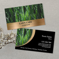 Lawn Care Landscape modern professional yard Busin Business Card