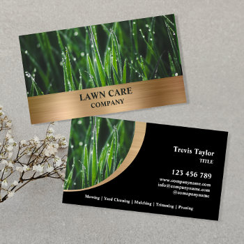 Lawn Care Landscape Modern Professional Yard Busin Business Card by smmdsgn at Zazzle