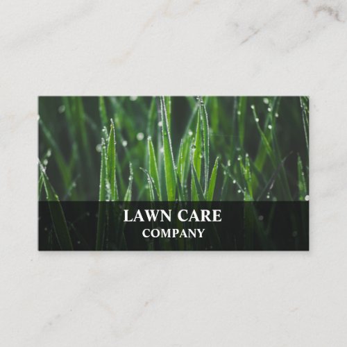 Lawn Care Landscape modern professional yard Busin Business Card