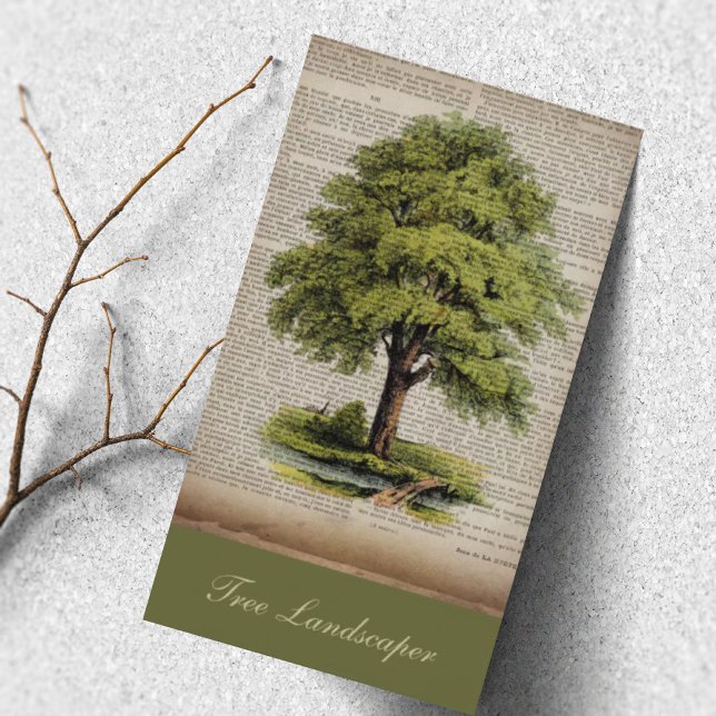 Lawn Care Landscaping Vintage Oak Tree  Business Card (Lawn Care Landscaping Vintage Oak Tree Business Card)