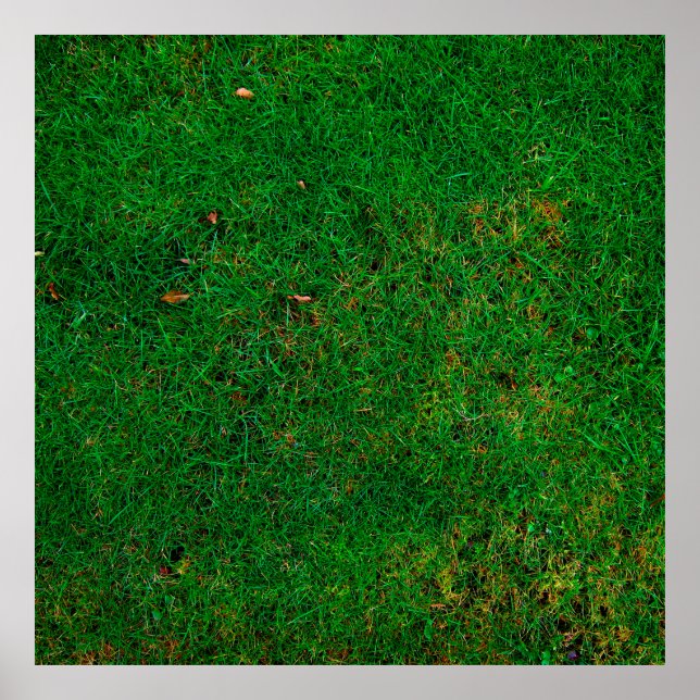 Lawn grass meadow texture yard poster (Front)