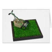 LawnmowerOnTheGrass100711 (Front Horizontal)