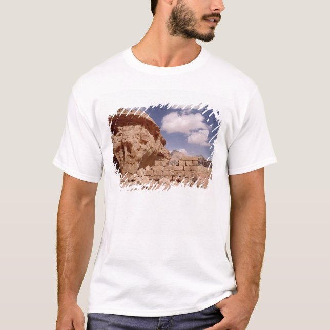 Lawrence of Arabia's house during T-Shirt (Front)