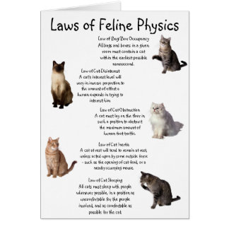 "Laws of Feline Physics" Cards