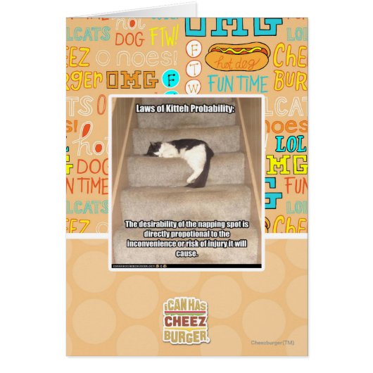 Laws of Kitteh Probability Cards (Front)