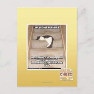 Laws of Kitteh Probability Postcard