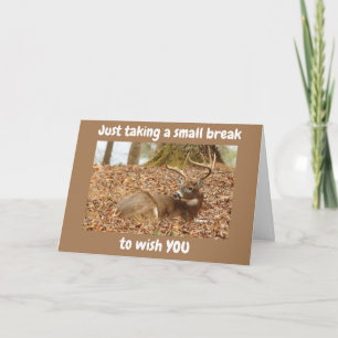 LAYED BACK DEER SAYS HAPPY 60th BIRTHDAY Card