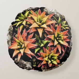 LAYERED STAR-SHAPED SUCCULENT PLANT/SALMON & GREEN ROUND PILLOW