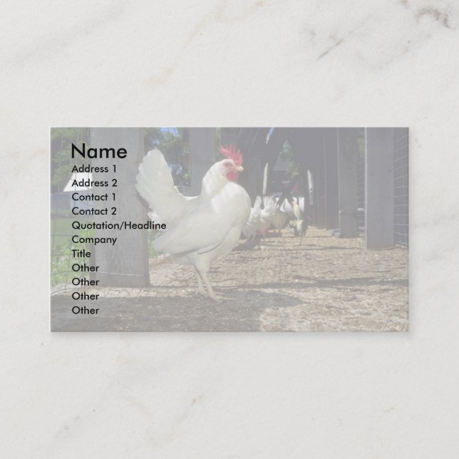 Layers (Hens And Roosters) Business Card (Front)