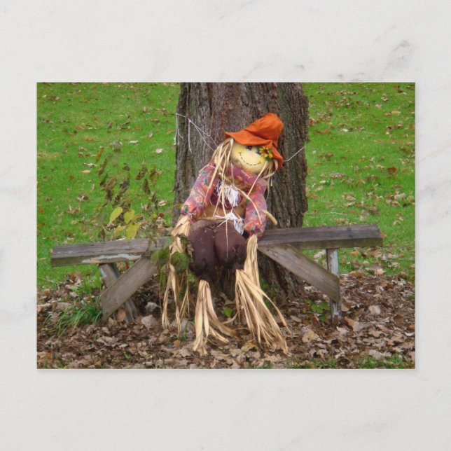 "Laying Down On The Job" Scarecrow Postcard (Front)