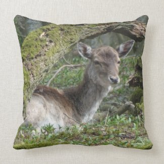 Laying Fallow Deer Throw Pillow