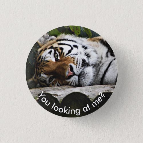 Laying Tiger _ You looking at me Button