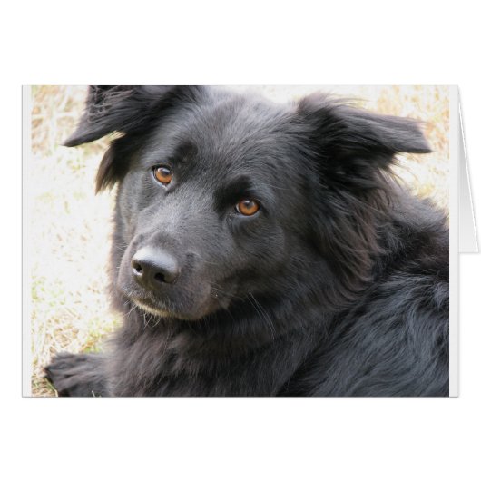 Layla (Front Horizontal)