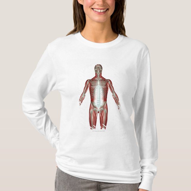 Layout of all the muscles in the human body T-Shirt (Front)